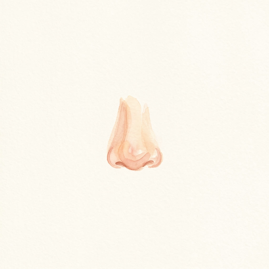 Nose